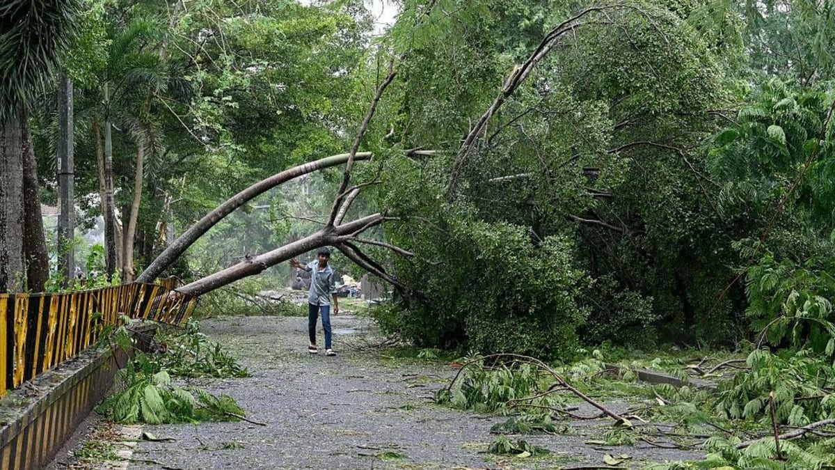 Cyclone Arnab began forming over the Bay of Bengal and struck the Andhra Pradesh–Yanam coast as a very severe cyclonic storm